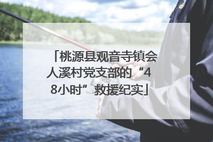 桃源县观音寺镇会人溪村党支部的“48小时”救援纪实